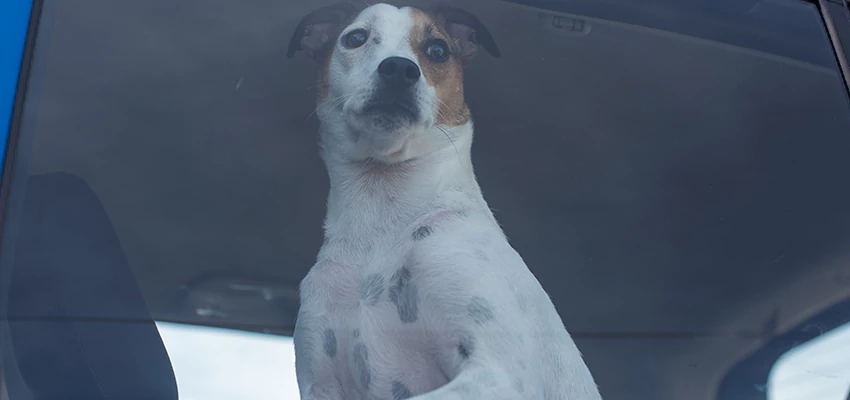 Car Lockout Solutions in Dixon, California