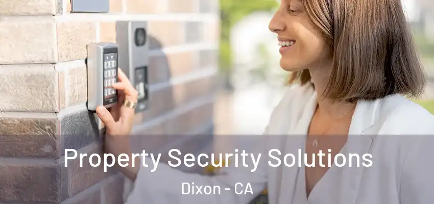  Property Security Solutions Dixon - CA